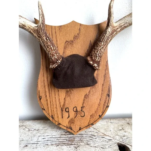 8 Point Whitetail Deer Antler Rack on Oak Plaque Rustic Michigan Mount 20" Wide - Picture 5 of 16
